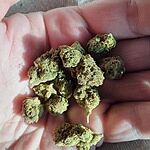 Customer Review Image