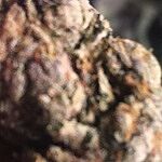 Customer Review Image