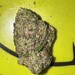 Customer Review Image