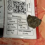 Customer Review Image
