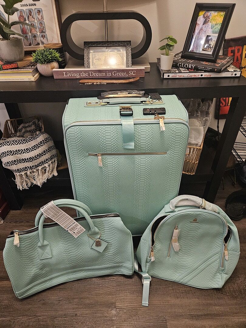 Signature 2-Piece Luggage Set in Mint – Tote&Carry