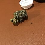 Customer Review Image
