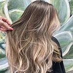 Image of Review by Priscilla W. on 28 Feb 2024 number 1