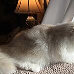 Image of Review by Deann D. on  4 Mar 2024 number 1