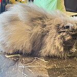 Image of Review by Deann D. on  4 Mar 2024 number 2