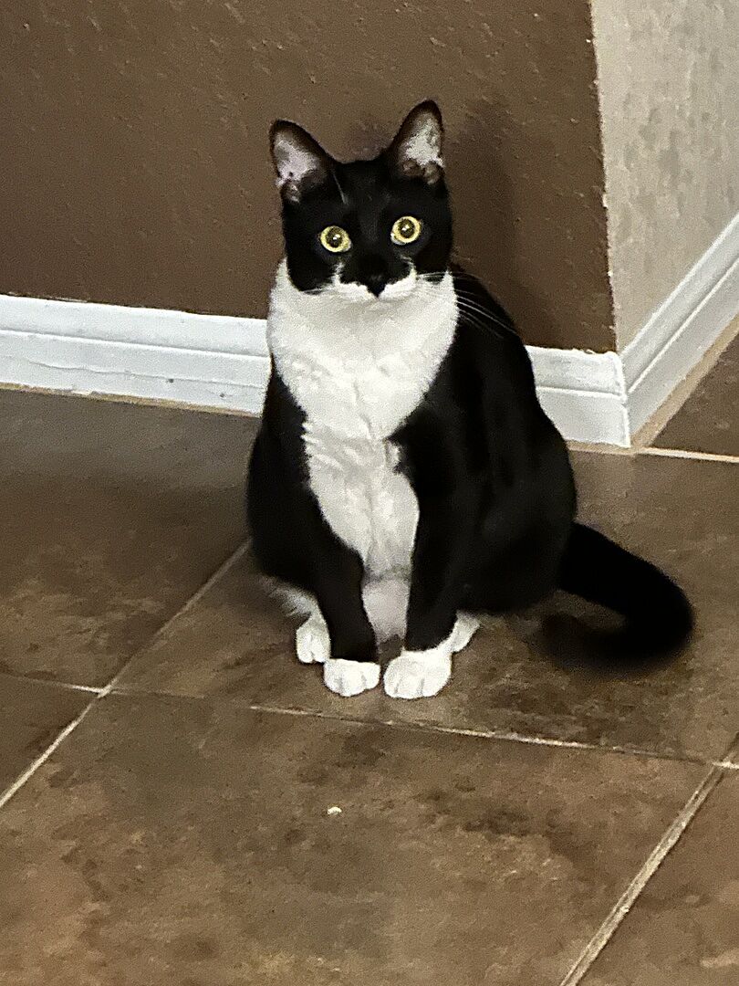 Catalyst Pet customer photo shared by Paul D.