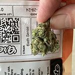 Customer Review Image