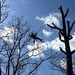 Image of Review by kevin k. on  5 Mar 2024 number 1