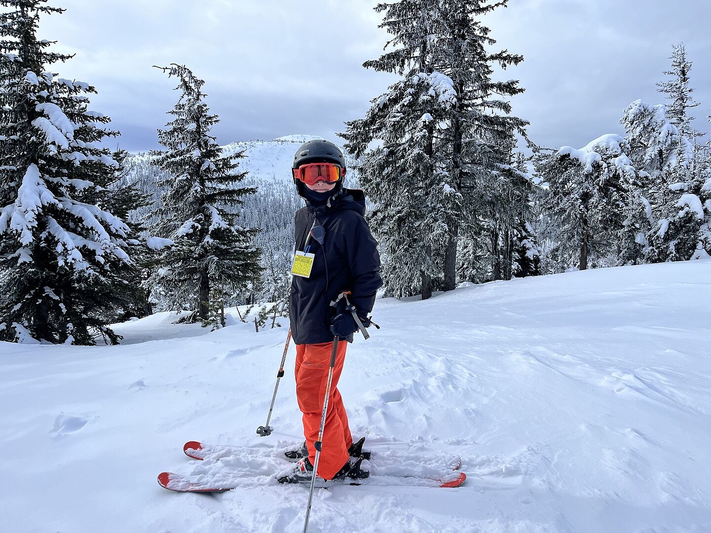 Junior Alpha Resort Ski Jacket | Helly Hansen US