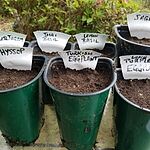 Image of review by Christopher C. on March 13, 18 number 1