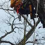 Image of Review by MITCHEL J. on 12 Mar 2024 number 2