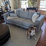 Image of Review by Jennifer M. on 13 Mar 2024 number 1