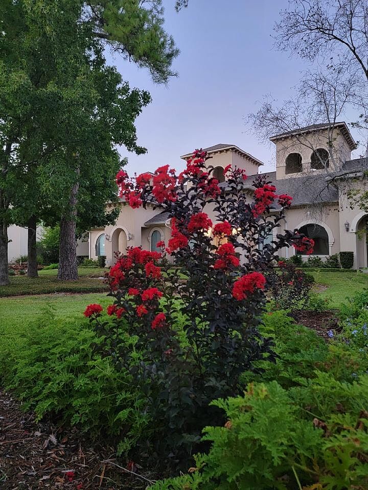 Brilliant blooms