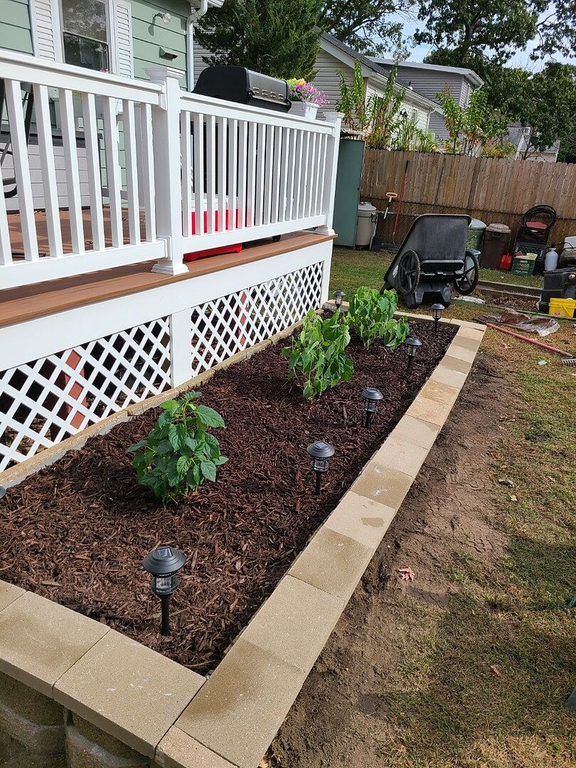 Incrediball Hydrangea