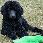 Image of Review by Danielle M. on 15 Mar 2024 number 1