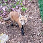 Image of Review by Carol L. on  4 Mar 2024 number 1
