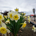 Image of Review by Joshua P. on 19 Mar 2024 number 2