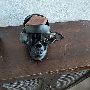 Suck UK Skull Catch-All | Bespoke Post