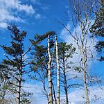 Image of Review by DILLAN S. on 27 Mar 2024 number 1