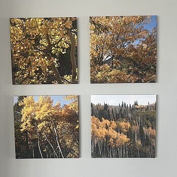 Photo of review by Darcy on Mar 30, 2024 #2