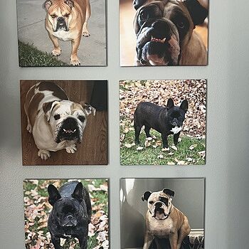 Photo of review by Darcy on Mar 30, 2024 #3