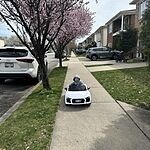 Image of Review by Aferdita S. on 31 Mar 2024 number 1