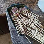 Image of Review by Josephine P. on 31 Mar 2024 number 1