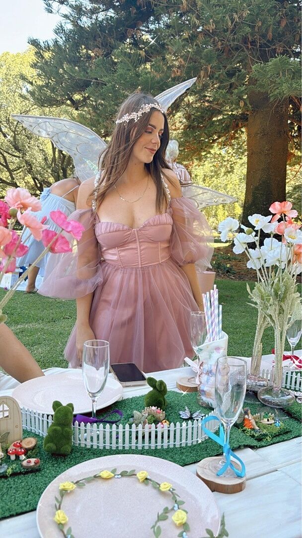 Fairytale Dream Sheer Sleeve Mini Dress Rose | Selfie Leslie