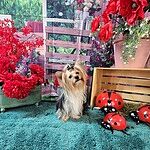 Image of Review by Tammy B. on  4 Apr 2024 number 1