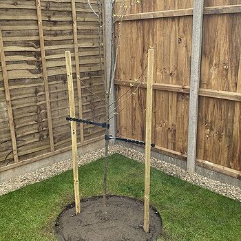 EverEdge Garden Tree Rings | Amenity Choice
