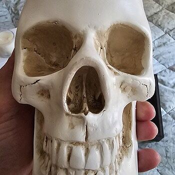Suck UK Skull Catch-All | Bespoke Post