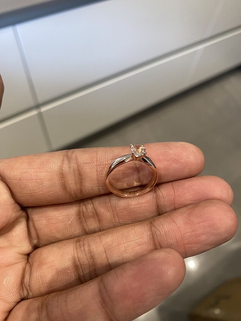 Sophisticated and elegent