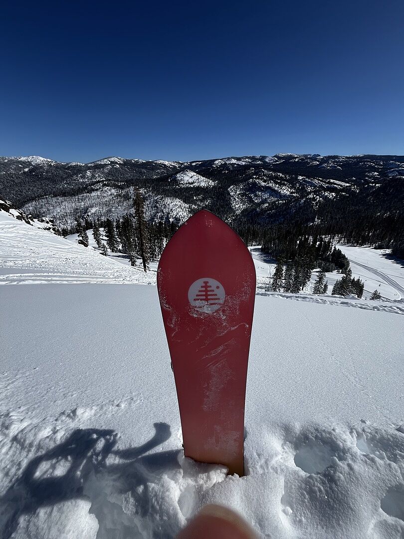 Burton Family Tree 3D Double Dog Camber Snowboard | Burton