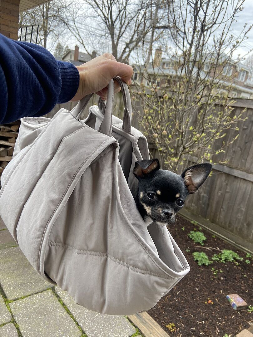 OLLA - Dog Carrier | Pet Carrier | KOALA