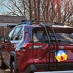Image of Review by Freddie F. on  6 Apr 2024 number 1