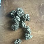 Customer Review Image