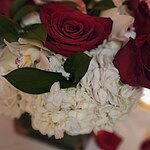 Image of Review by Celeste on 11 Apr 2024 number 2
