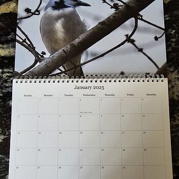 Photo of review by Debbie on Apr 12, 2024 #2