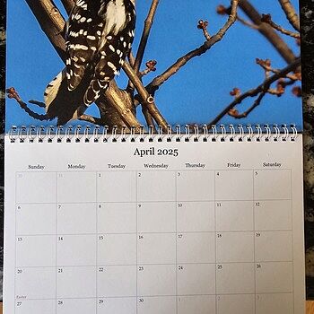 Photo of review by Debbie on Apr 12, 2024 #3