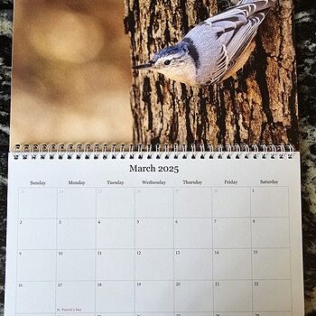 Photo of review by Debbie on Apr 12, 2024 #4