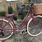 raleigh willow moss green