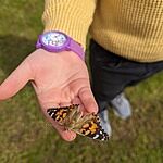 Image of Review by Jeni W. on 27 Apr 2024 number 1