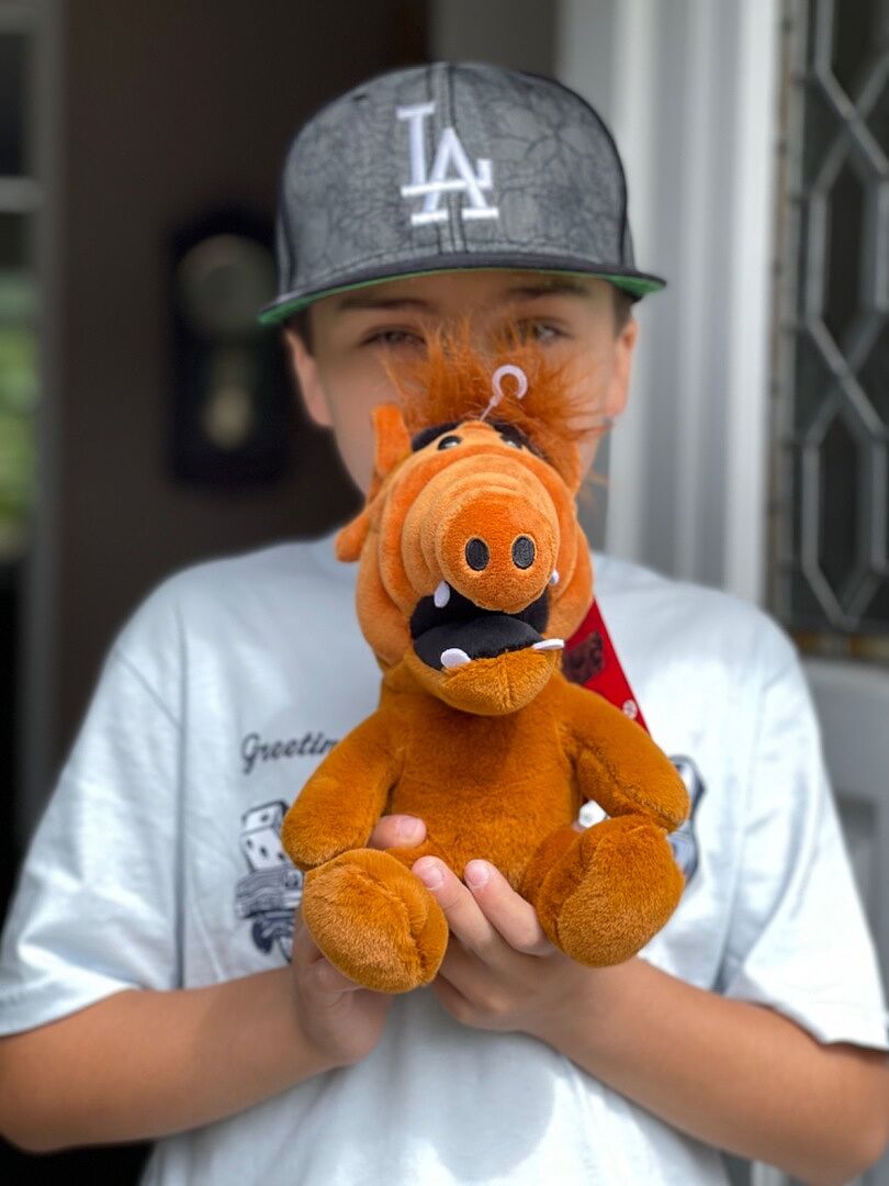 ALF 8