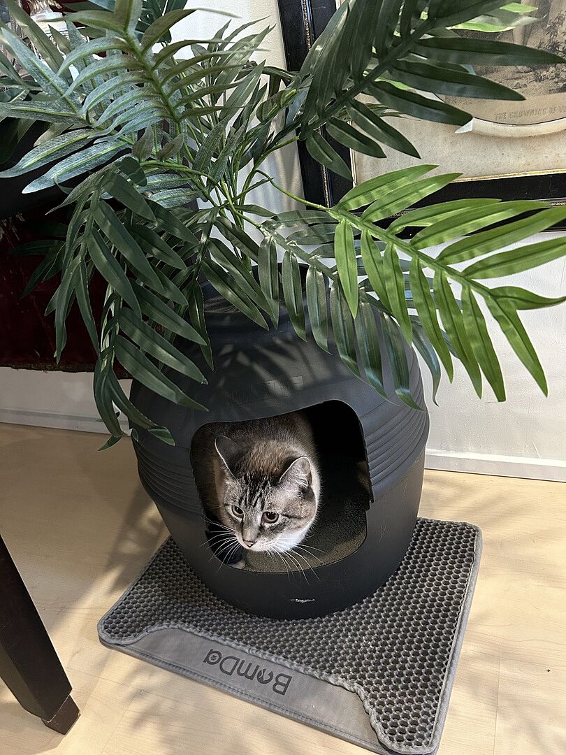 Catalyst Pet customer photo shared by Judith L.
