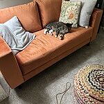 Image of Review by Nancy S. on 31 May 2024 number 1