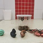 Image of Review by Gwendoline F. on  4 Jun 2024 number 1