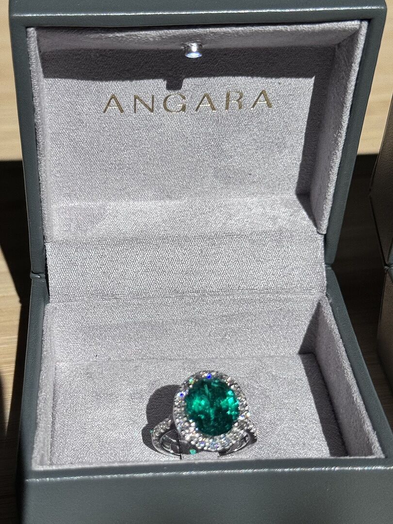 I am absolutely thrilled with