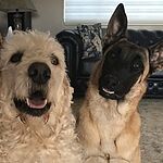 Image of Review by Lisa W. on  9 Jun 2024 number 1