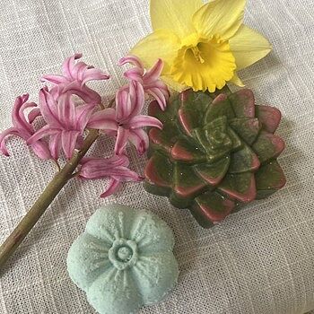 4 Cavity Succulent Silicone Mold for Soap Making | Bramble Berry