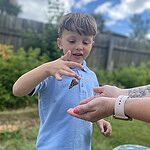 Image of Review by Hayley C. on 15 Jun 2024 number 1